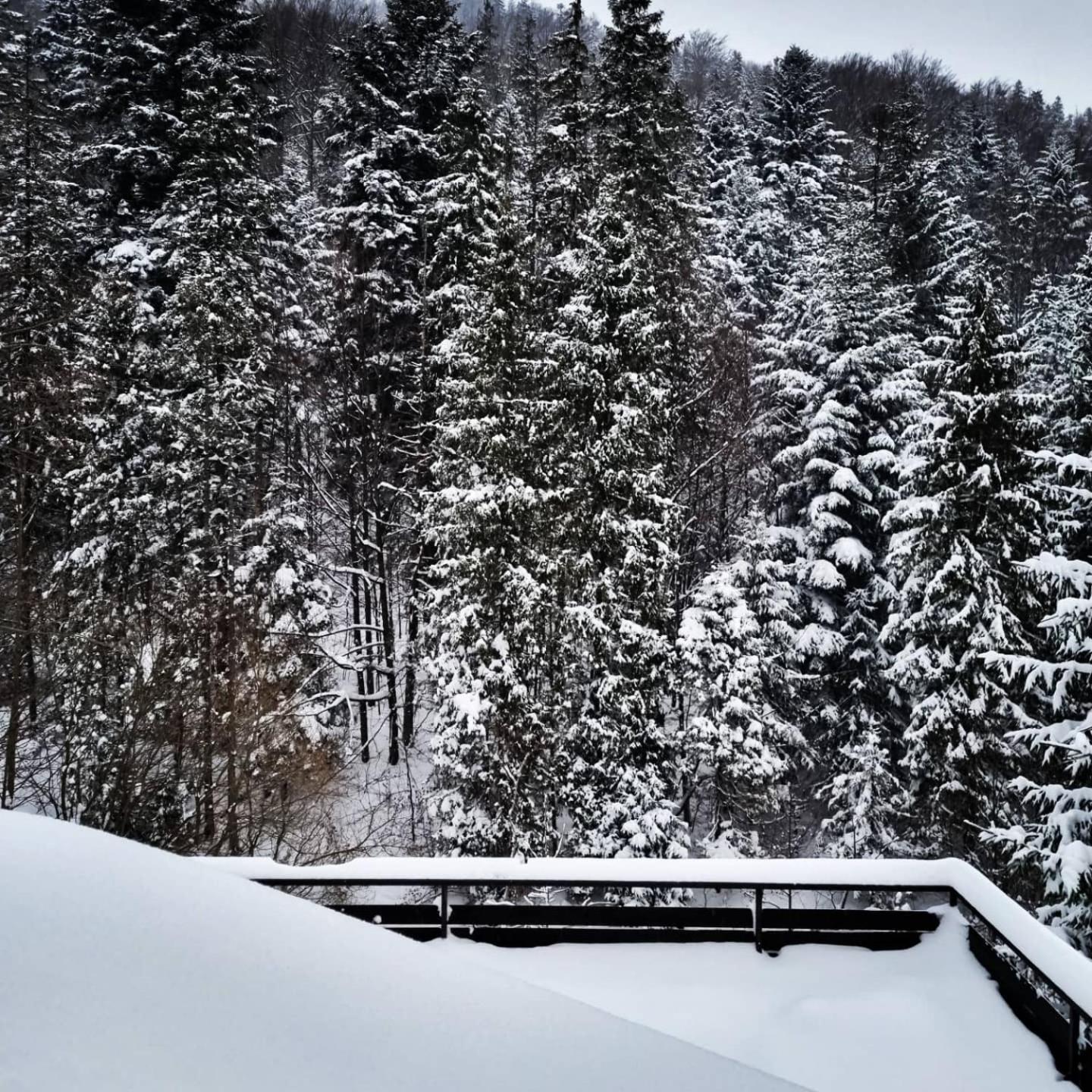 Willa Bliski Szczyrk Exteriér fotografie